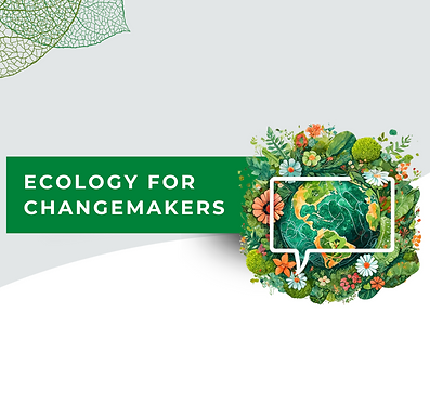 Screenshot 2025-11-01 at 23.39.24.png