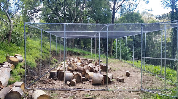 fruit and vegetable cage 10x5x2.jpg
