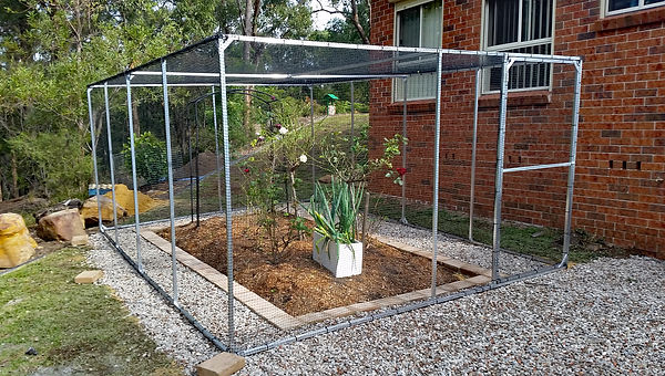 Fruit Cage.jpg