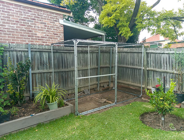 Fruit-cage-enclosure-.jpg