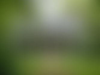 The Power of Good Credit: Biblical Insights on Prosperity and Homeownership