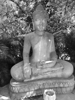 FullSizeRender 12 (1).jpg