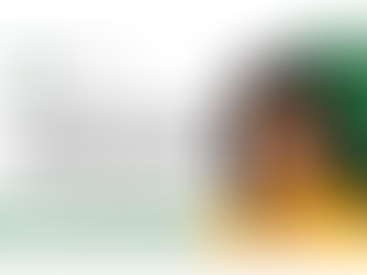 Dangers of Using Contracts from The Internet or AI As-Is