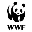 OIP.webp