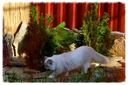 Edited Image 2013-6-2-16:36:10