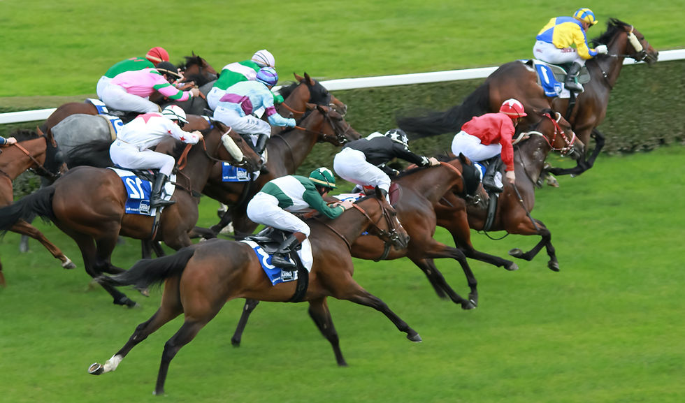 Course de galop : dernière ligne droite vers la victoire / Flat racing: The final straight to victory