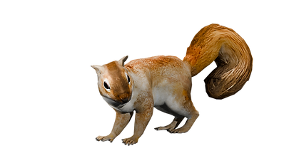 Starry_render_1.png