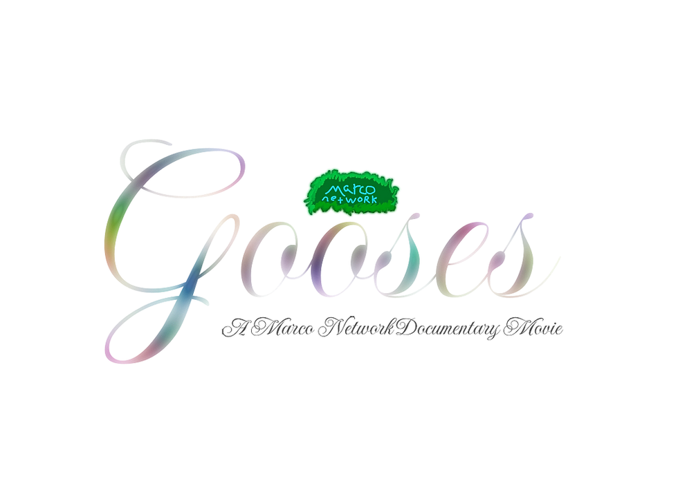 The Cranes Movie is changing it's name to Gooses, Pip is our new star.