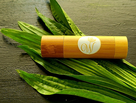 Stick_Spitzwegerich.jpg
