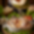 fdaae362-7f2c-4da4-aad6-d98cfcb931f4.png