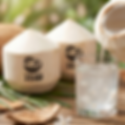 Coco King Coconut Water 大王椰子水 