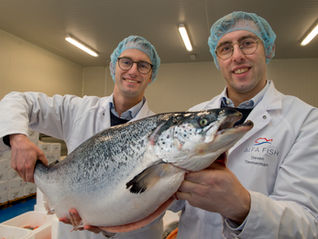 Alfa Fish houdt stevige groeikoers aan dankzij cash en kwaliteit