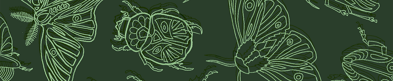 Website_Cover_Page_w_dark tall_edited.png