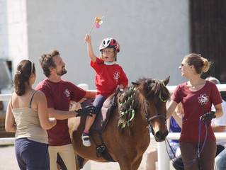 Hippoturnier 2019
