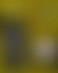 Resultado GP de Abu Dhabi F1 T13 - 8/8