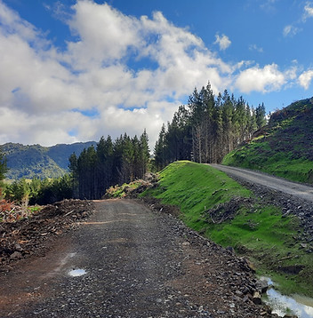 residential hydroseeding cost