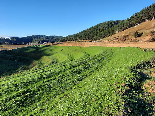 cost of hydroseeding