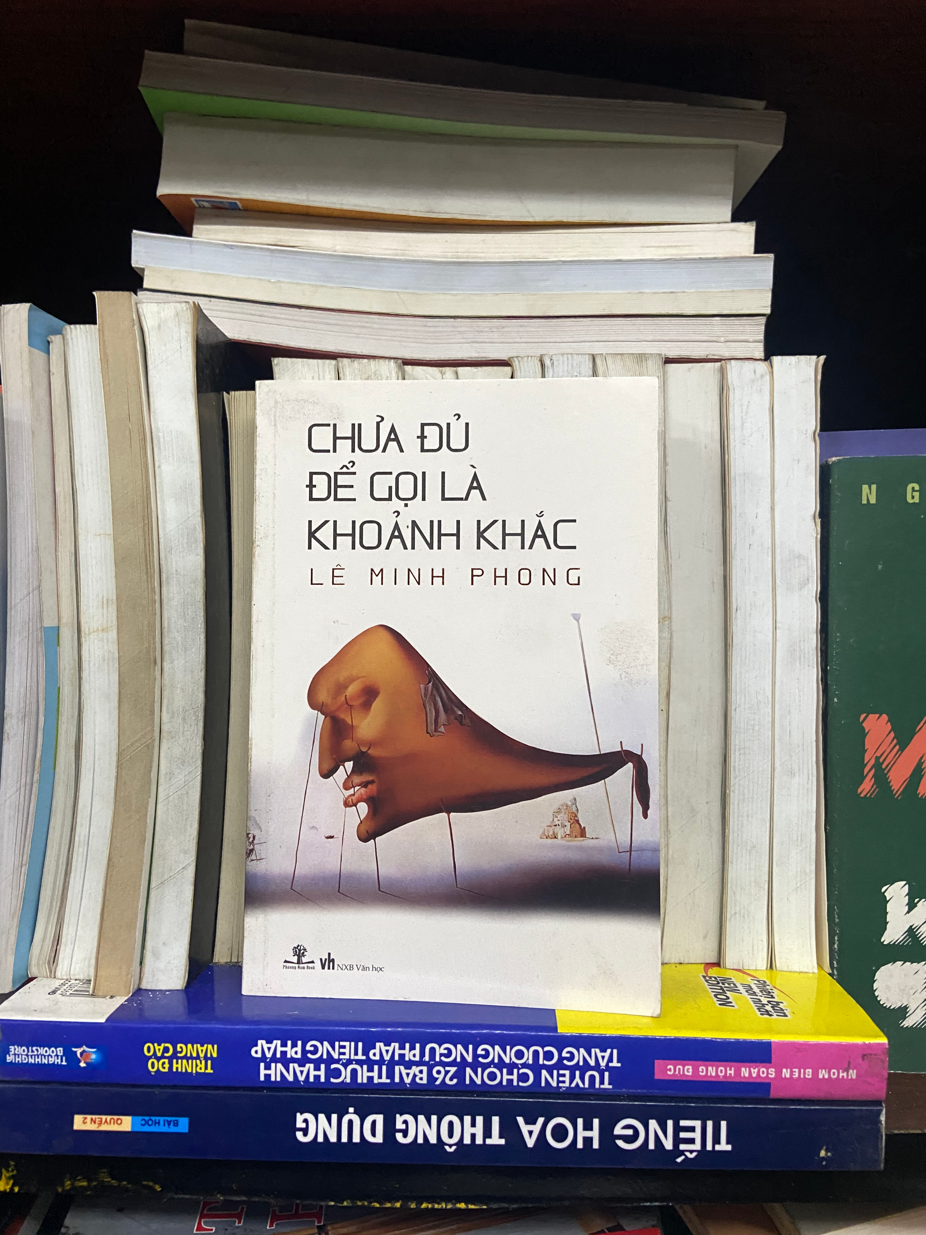 Chưa đủ để gọi là khoảnh khắc - Lê Minh Phong