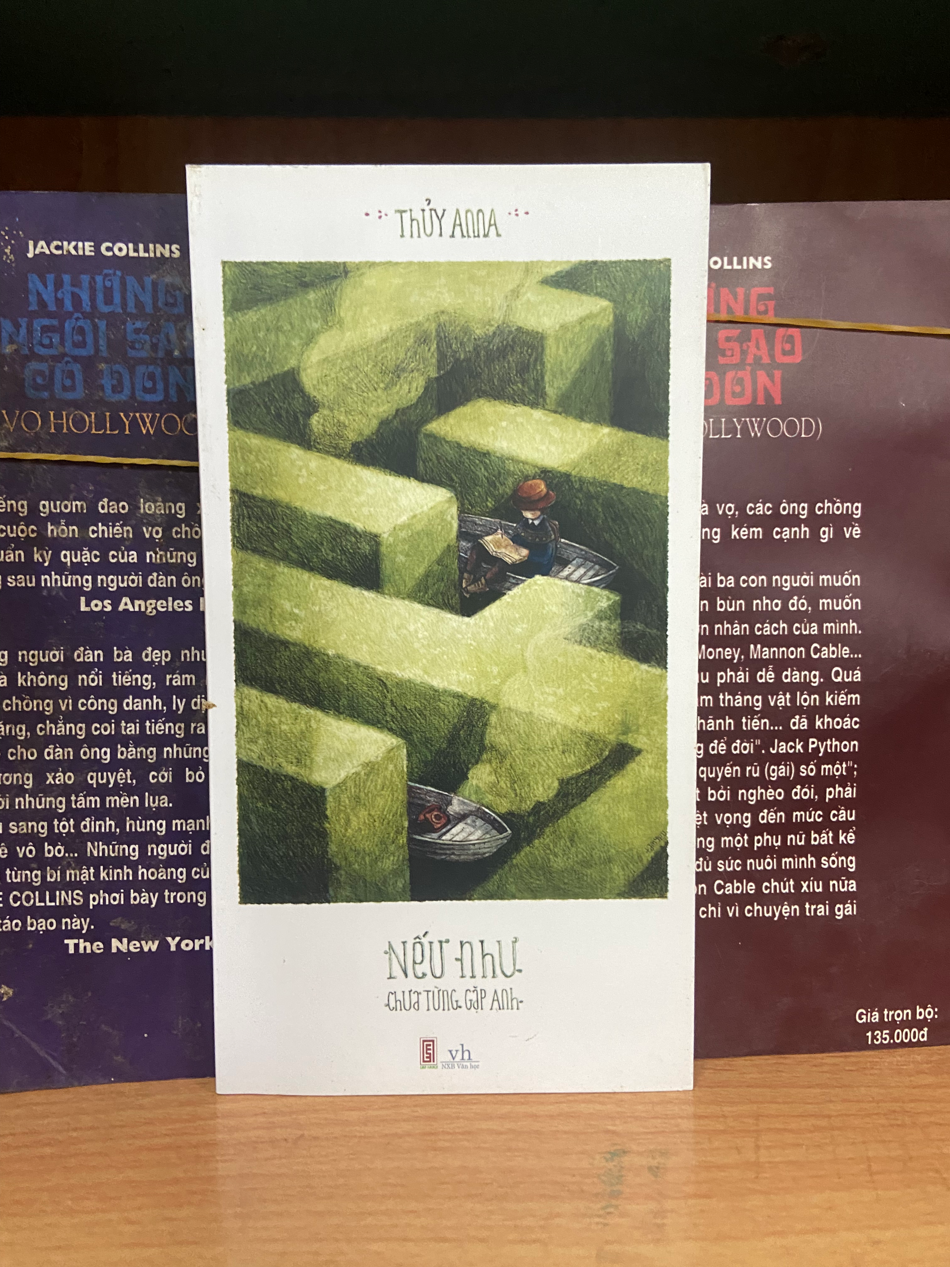 Nếu như chưa từng gặp anh - Thủy Anna