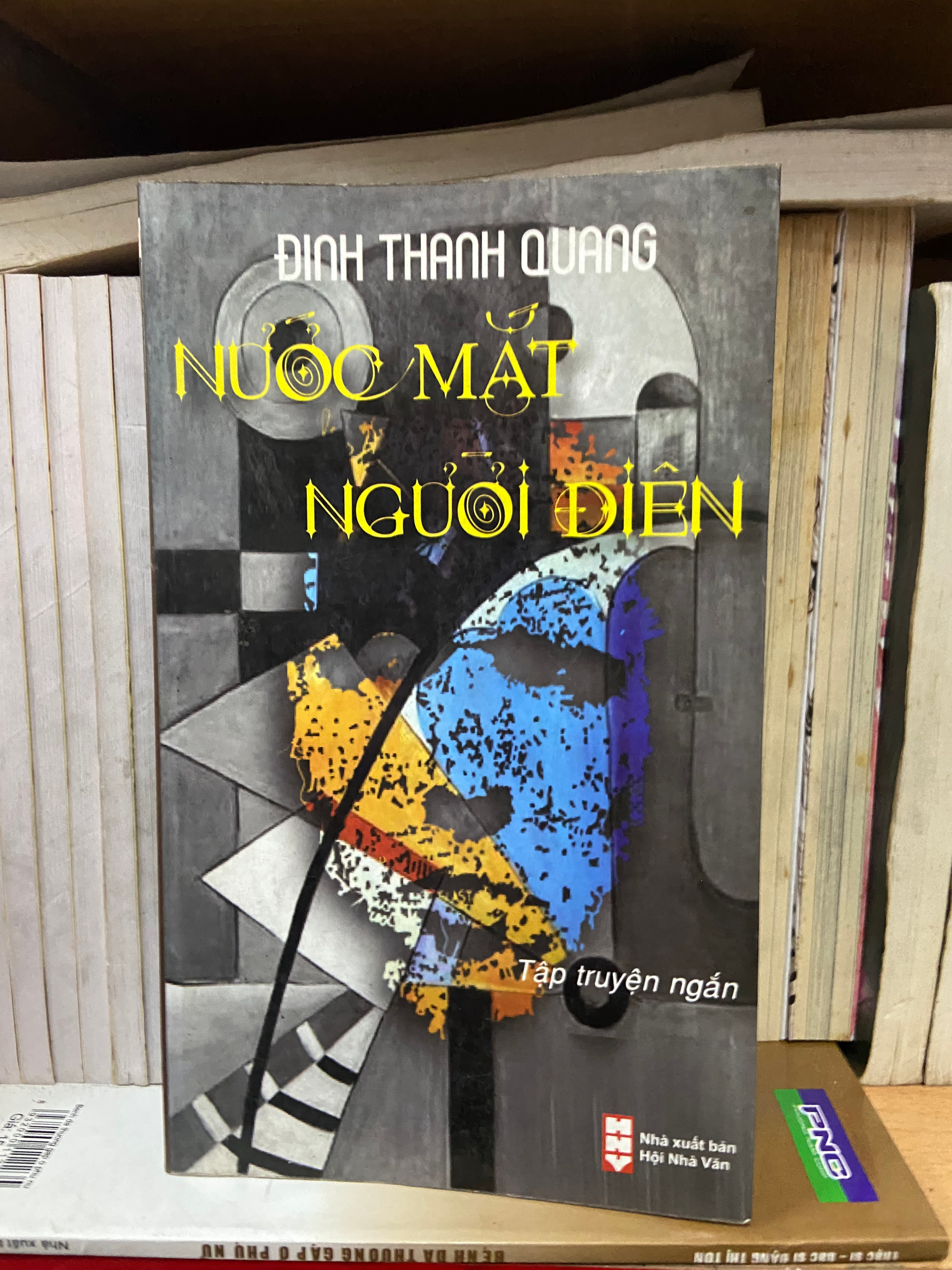 Nước mắt của người điên - Đinh Thanh Quang