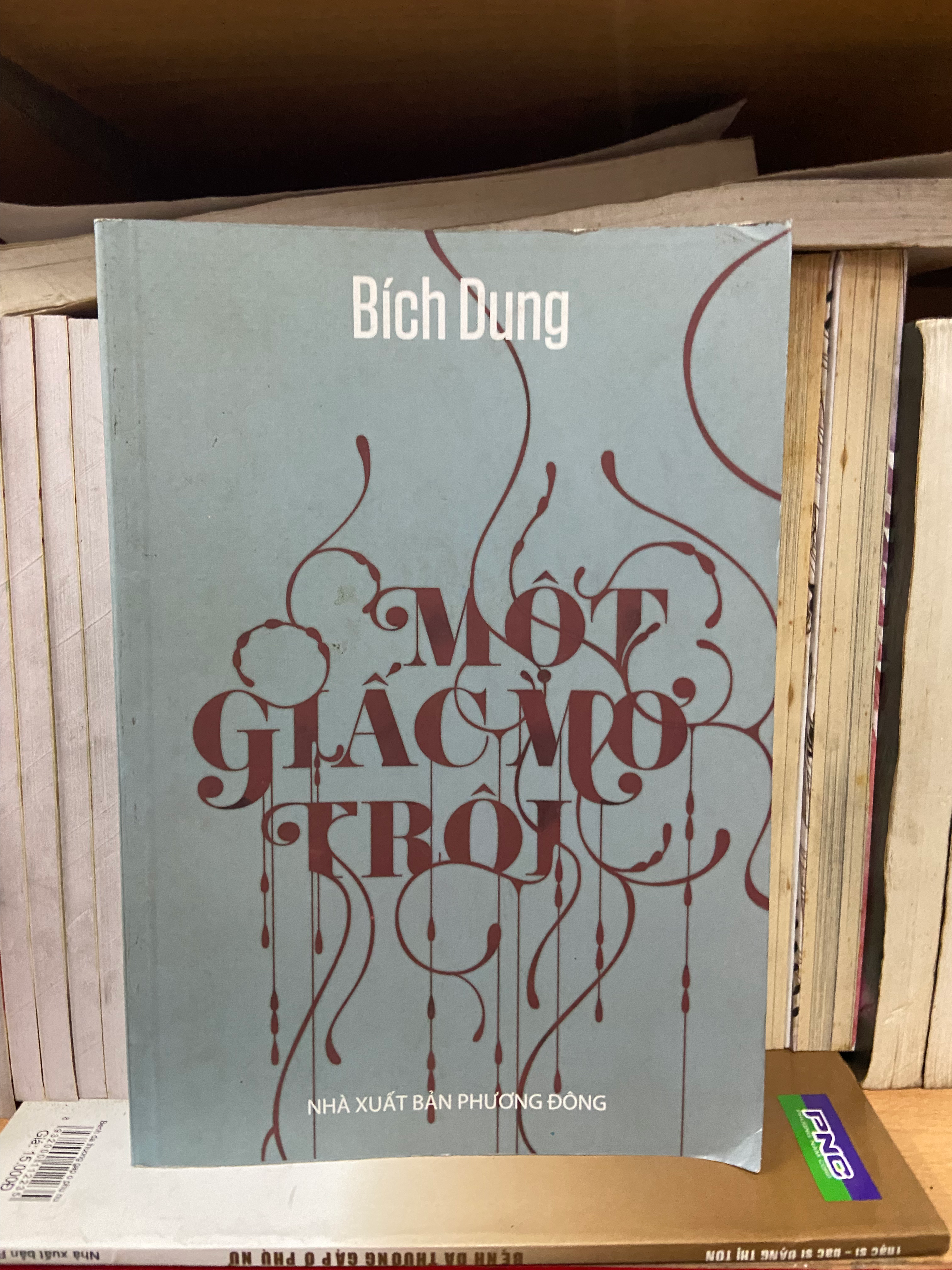 Một giấc mơ trôi - Bích Dung