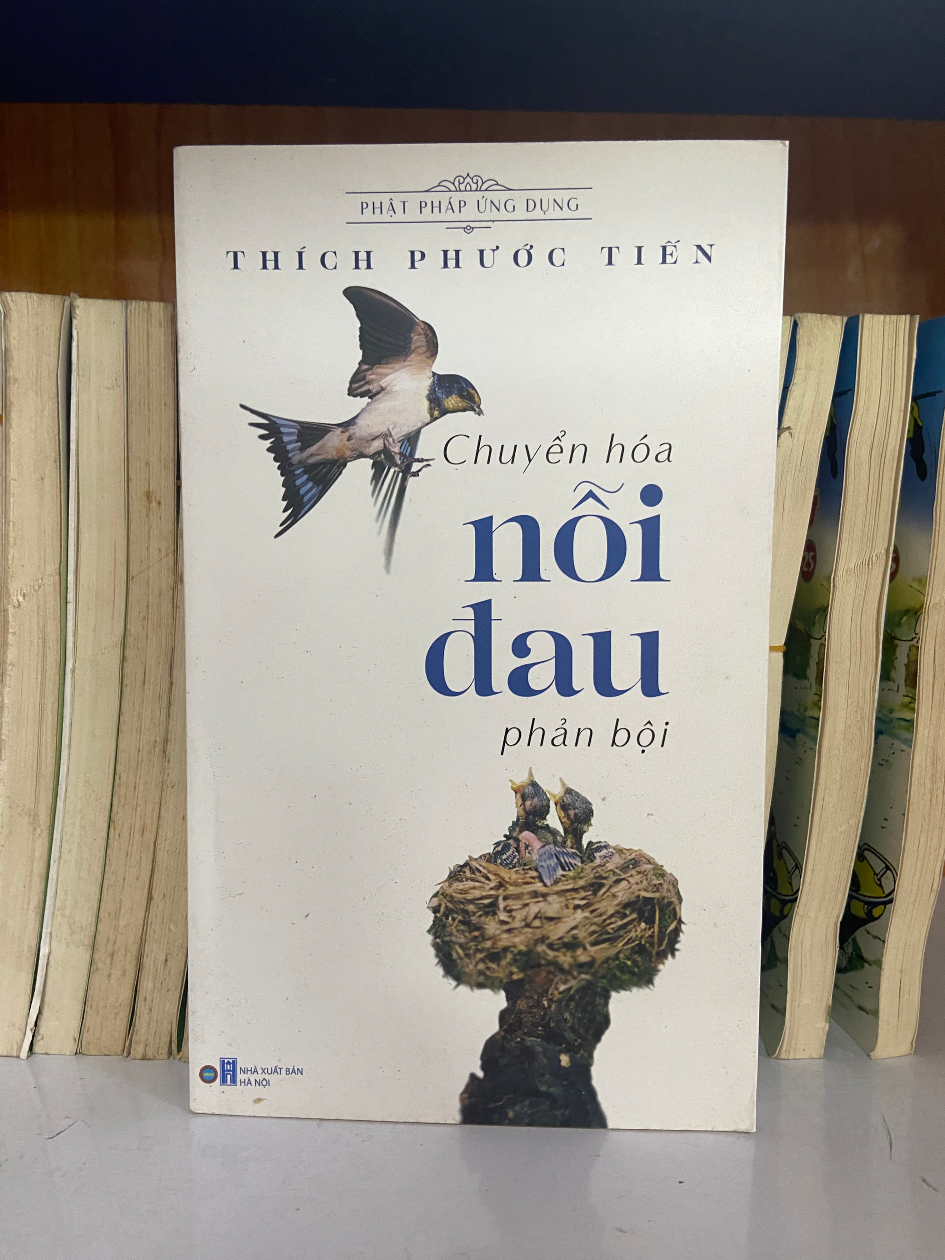 Chuyển hóa nỗi đau phản bội - Thích Phước