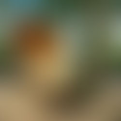 Beyond Green: The Next Chapter of Sustainable Materials in India