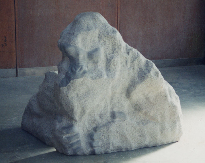 ゴリラ
Gorilla