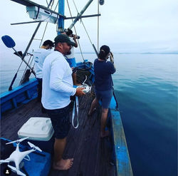 B. Ilha Grande - 2021 (Drone)