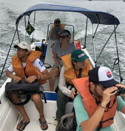 B. de Sepetiba 2019 + Lab Aves