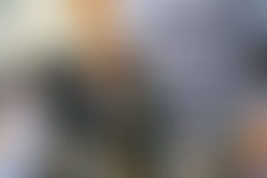 Oscar Garibay, vamos por MÁS!