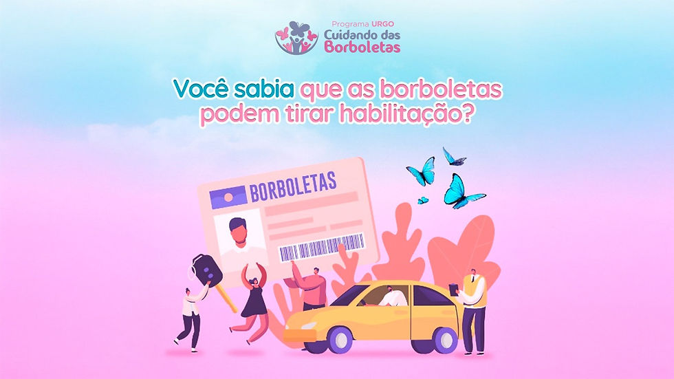Você Sabia que as Borboletas Podem Tirar Habilitação?