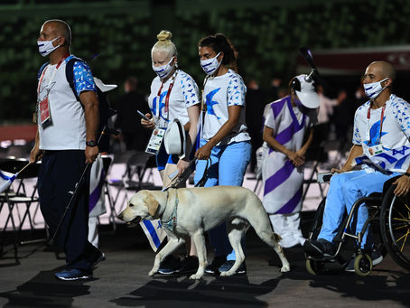 International Dog Day - how much do we owe them?