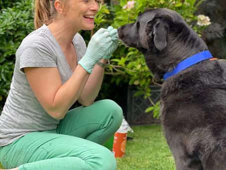 PetTherapy Acupuncture has a Youtube channel!