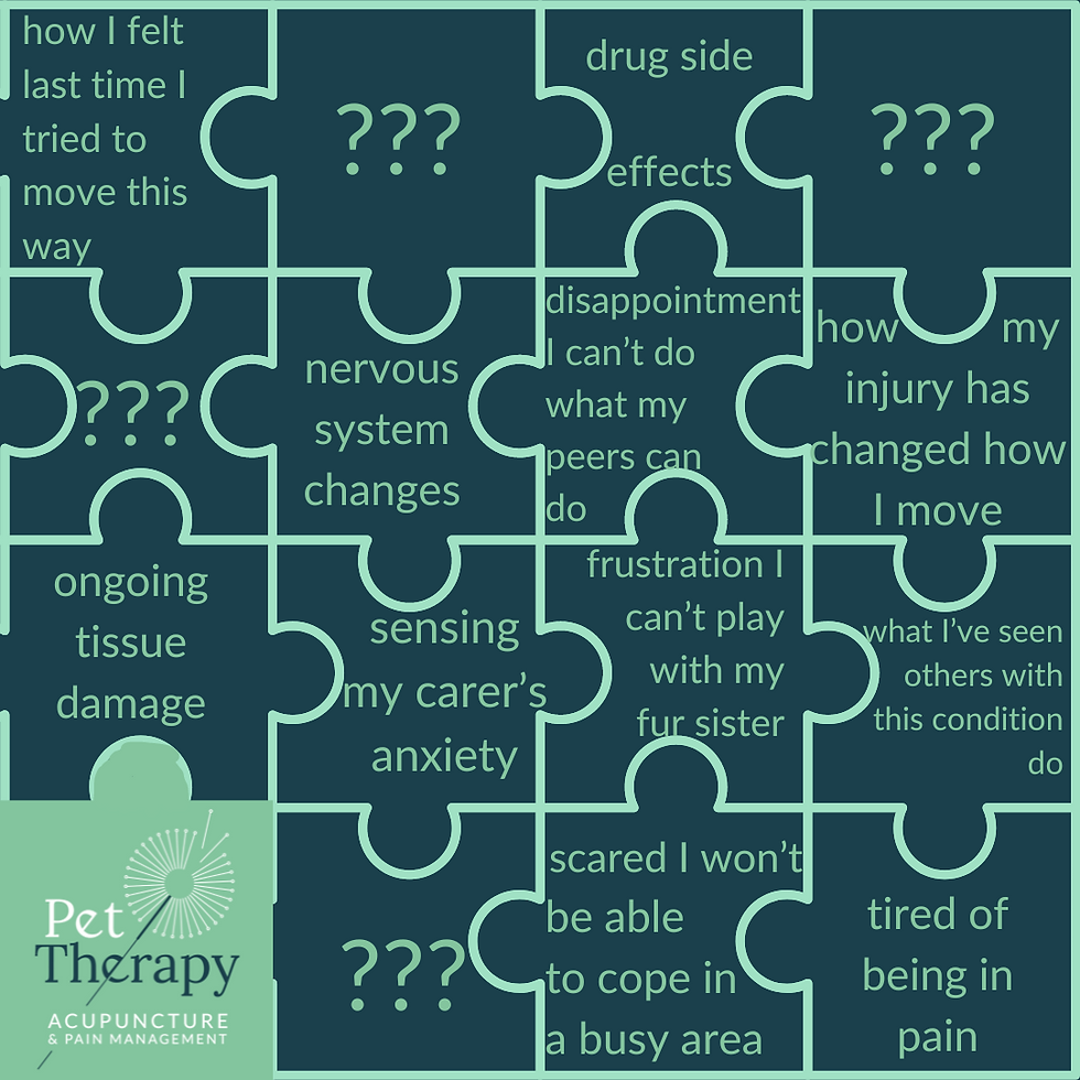 Introducing the Recover Programme