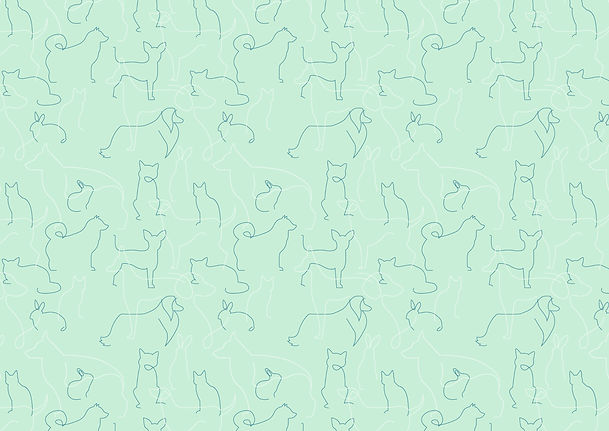 Pet-Therapy-Mobile-Acupuncture_Pattern_a-full colour_RGB_edited_edited.jpg