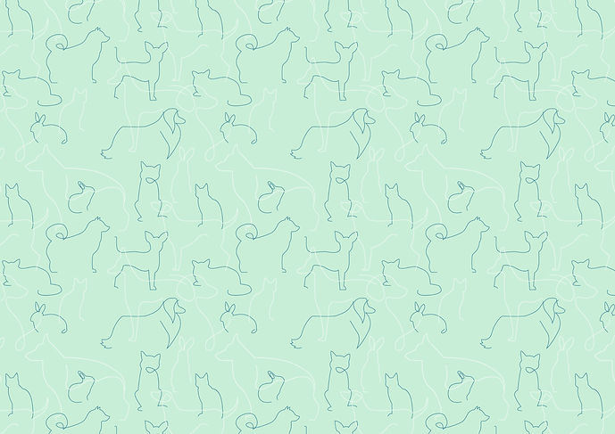Pet-Therapy-Mobile-Acupuncture_Pattern_a-full colour_RGB_edited_edited.jpg