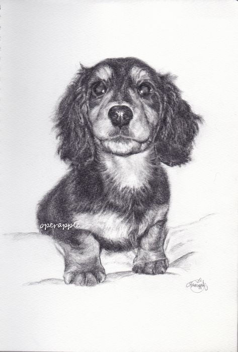 初めてのハイチーズ♪