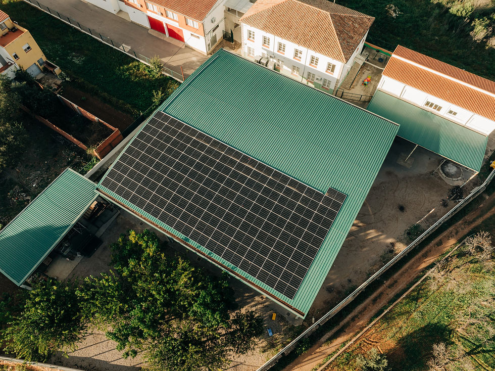 CEL6 - Escoles Velles (5).jpg