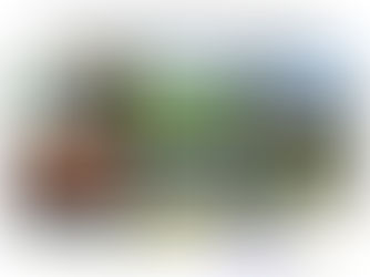 Jelajah Jalur Non Aktif Banjar - Cijulang ( Inactive Line Re Tracing Journey, West Java )