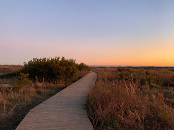 Path to Yoga class on the beach in Charleston South Carolina lead by founder and practitioner Sandra Jamali Regalado