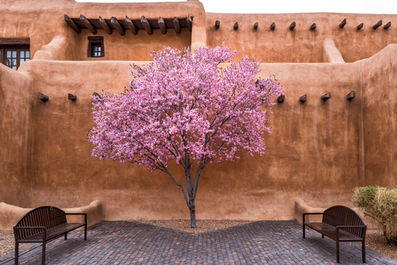New Mexico Art Museum in Santa Fe