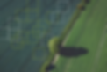 pinpoint2.png