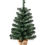 Thumbnail: Burlap Pine