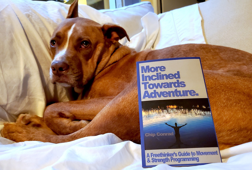 bodytribe, chip conrad, pitbull, fitness book