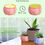 Miniatura: Caja*4 Velas Aromatizadas Decorativas