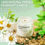 Miniatura: Gift Box Kit Bienestar Green Dream
