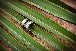 kauai wedding photographers