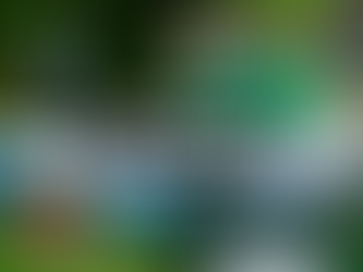 jibhi0trip-from-delhi