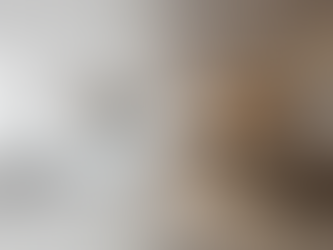 Tirando projetos de arquitetura e interiores do papel